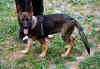 1DSC02657.jpg (124024 Byte)