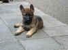 1DSCF3833.jpg (82918 Byte)