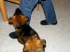 1DSCF3846.jpg (64062 Byte)