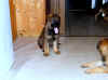 1DSCF3852.jpg (49389 Byte)