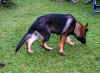 1DSCF3941.jpg (108804 Byte)