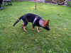 1DSCF3943.jpg (202504 Byte)