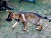1Gandhi15.07.-2.jpg (89044 Byte)