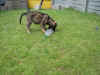 1IMG_0548.JPG (158424 Byte)