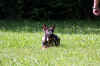 1IMG_1975.JPG (92957 Byte)