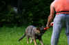 1IMG_1996.JPG (70782 Byte)