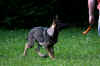 1IMG_2011.JPG (79160 Byte)