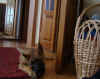 DSC025742_Moskau.jpg (103090 Byte)