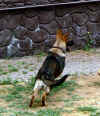 DSC02649-1.JPG (106391 Byte)