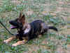 DSC02652-2.JPG (102927 Byte)