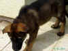 Gringo1.Tag 004.jpg (82065 Byte)