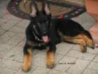 dscn0946001_small.jpg