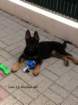 img_02451001_small.jpg