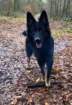 img20171212wa0005001_small.jpg