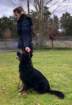 img20171212wa0006001_small.jpg