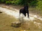 img20170712wa0008_small.jpg