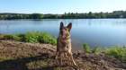 dsc_0598_small.jpg