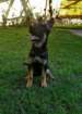 dsc_20432_small.jpg