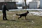 img20180308wa0001_small.jpg