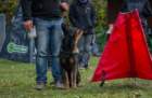 img20171101wa0002_small.jpg
