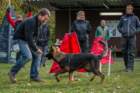 img20171101wa0004_small.jpg
