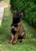 cimg2546_small.jpg