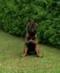 cimg2547_small.jpg