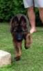 cimg2549_small.jpg