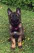 img20170710wa0000_small.jpg