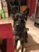img20180624wa0008_small.jpg