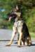 img20181008wa0006_small.jpg
