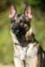 img20181008wa0007_small.jpg
