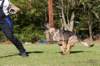 img20181008wa0011_small.jpg