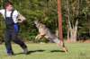 img20181008wa0013_small.jpg