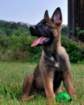 img20170722wa0000001_small.jpg