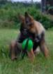 img20170722wa0001_small.jpg