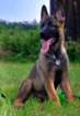img20170722wa0002001_small.jpg