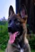 img20170722wa0002002_small.jpg