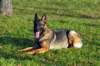 img20180114wa0004_small.jpg