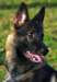 img20180114wa0005001_small.jpg