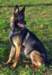 img20180114wa0005_small.jpg