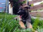 img20170611wa0000_small.jpg
