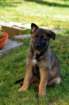 img20170614wa0005_small.jpg