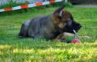 img20170614wa0008_small.jpg